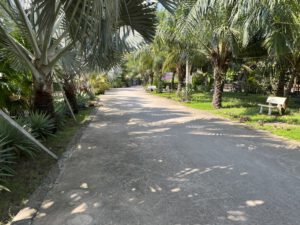 Đường ven sông Long Phước