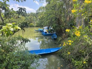 Bảng giá đất vườn Long Phước