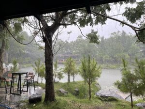 Ai đang gom đất Long Phước