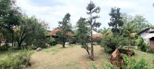 Long Phước