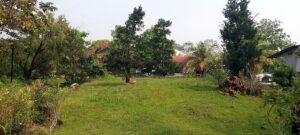 Biệt thự vườn View Sông Long Phước Quận 9