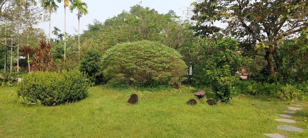 Biệt thự vườn View Sông Long Phước 