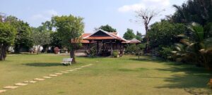 Sắp có dự án nhà vườn sinh thái 50ha tại Long Phước Quận 9