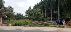 Bán 2,6ha mặt tiền Long Phước Quận 9