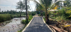 Bán 3000m2 đất vườn Long Phước Quận 9